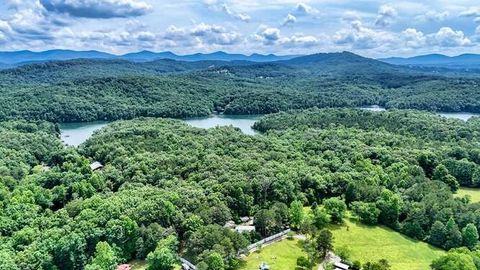 Single Family Residence in Blairsville GA 175 Loblolly Lane 57.jpg
