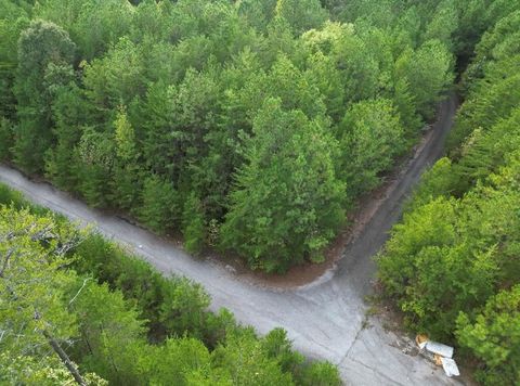 Unimproved Land in Braswell GA 53 Skyline Drive.jpg
