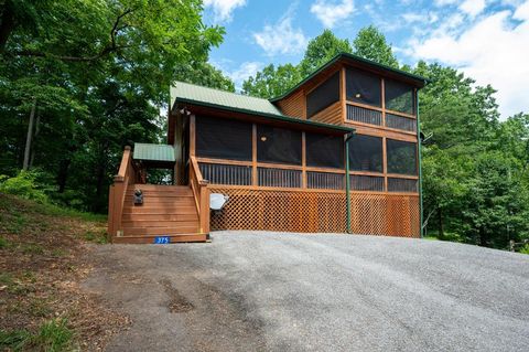 Single Family Residence in Blue Ridge GA 375 S Dream Catcher.jpg