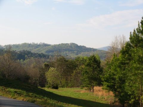 Unimproved Land in Blairsville DC 76 Water Oak Lane.jpg