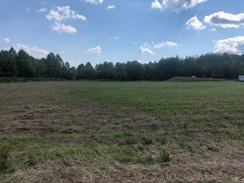 Unimproved Land in Blue Ridge GA 4 Blackhawk Drive.jpg