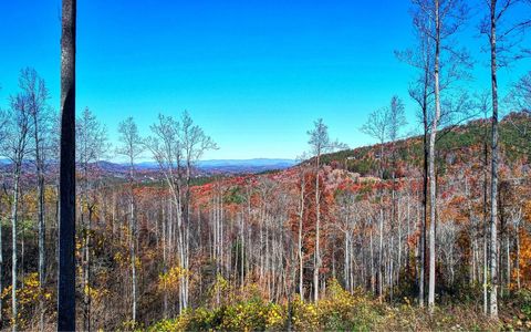  in Blairsville GA LT185 Thirteen Hundred.jpg