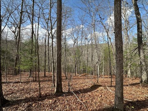 Unimproved Land in Blue Ridge DC Lot 19 Black Oak Road.jpg