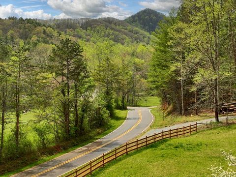 Unimproved Land in Blue Ridge GA 9.13 AC Hells Hollow Road.jpg