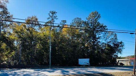  in Varnville SC 00 W Carolina Avenue.jpg