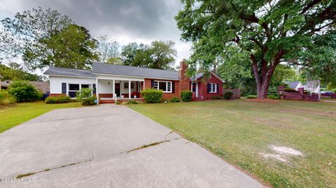 Single Family Residence in Yemassee SC 217 Salkehatchie Road.jpg