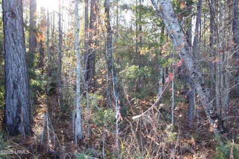  in Varnville SC Tbd Main Or Walterboro # 63 Highway.jpg
