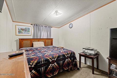 Mobile Home in Ridgeland SC 380 Langfordville Road 21.jpg