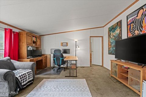 Mobile Home in Ridgeland SC 380 Langfordville Road 4.jpg