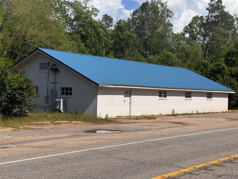 in Citronelle AL 21076 US Highway 45 Highway.jpg
