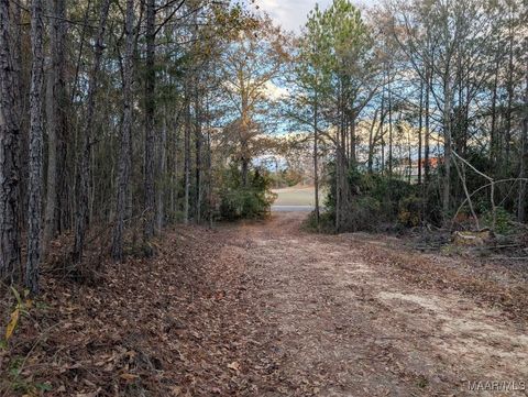  in Billingsley AL 0 BEAR Drive.jpg