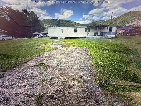  in Chapmanville WV 42 Iola Square.jpg