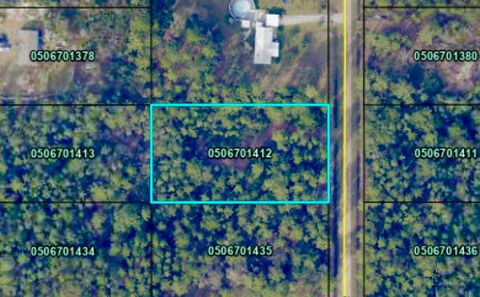  in Hastings FL 10555 Carpenter Ave.jpg