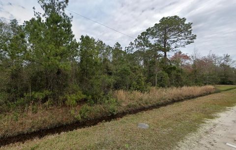  in Hastings FL 4340 Isaac St.jpg