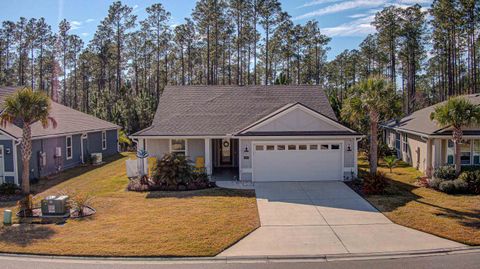 Single Family Residence in St Augustine FL 265 Spoonbill Cir.jpg