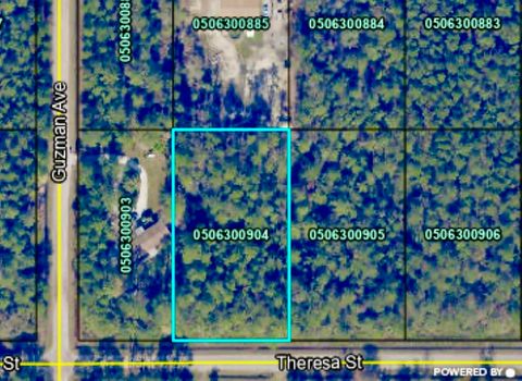  in Hastings FL 4260 Theresa St.jpg