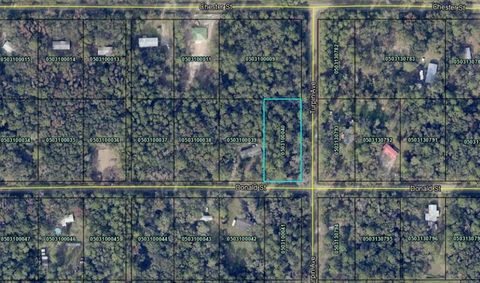  in Hastings FL 9715 Turpin Ave.jpg