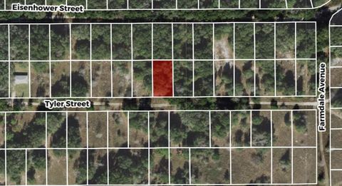  in INVERNESS FL 2402 Tyler St 2.jpg
