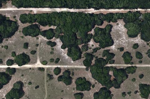  in INVERNESS FL 2402 Tyler St 1.jpg