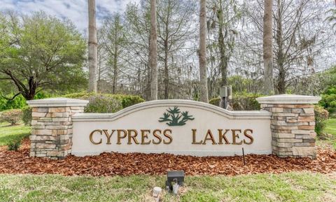Single Family Residence in Elkton FL 5850 Cypress Estates Drive.jpg