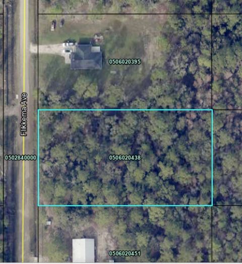  in Hastings FL 10110 Flikkema Ave.jpg