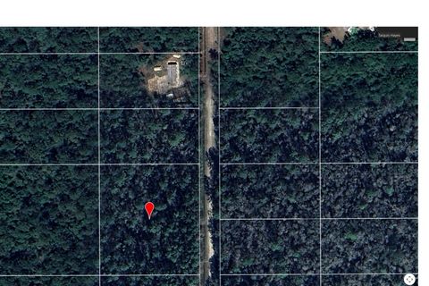  in Hastings FL 10505 Flikkema Ave.jpg