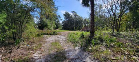  in Welaka FL 332 Beecher Springs Rd.jpg