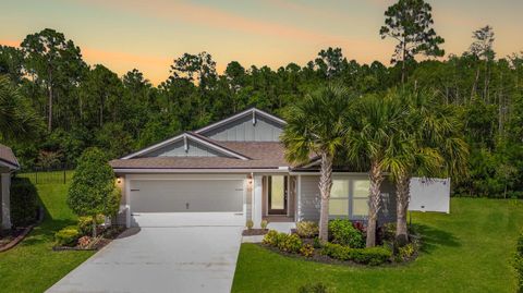 Single Family Residence in St Augustine FL 40 Tesla Ct.jpg