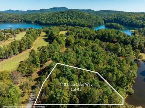 Unimproved Land in Sunset SC 118 Club Cove Way.jpg