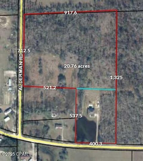 Single Family Residence in Sneads FL 7526 Weddington Road 45.jpg