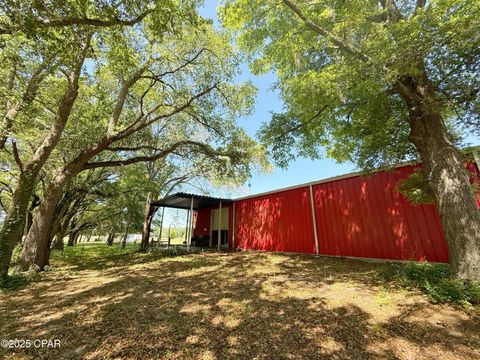 Farm in Bascom FL 6491 Wolf Pond Road Rd.jpg