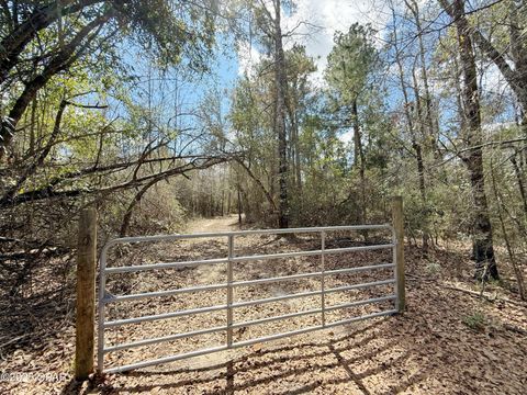  in Marianna FL 00 Lovewood Road.jpg