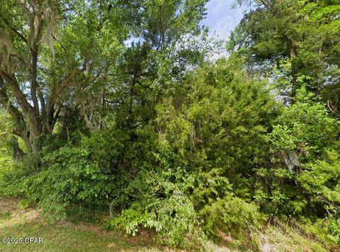  in Sneads FL 0 Messer Road.jpg