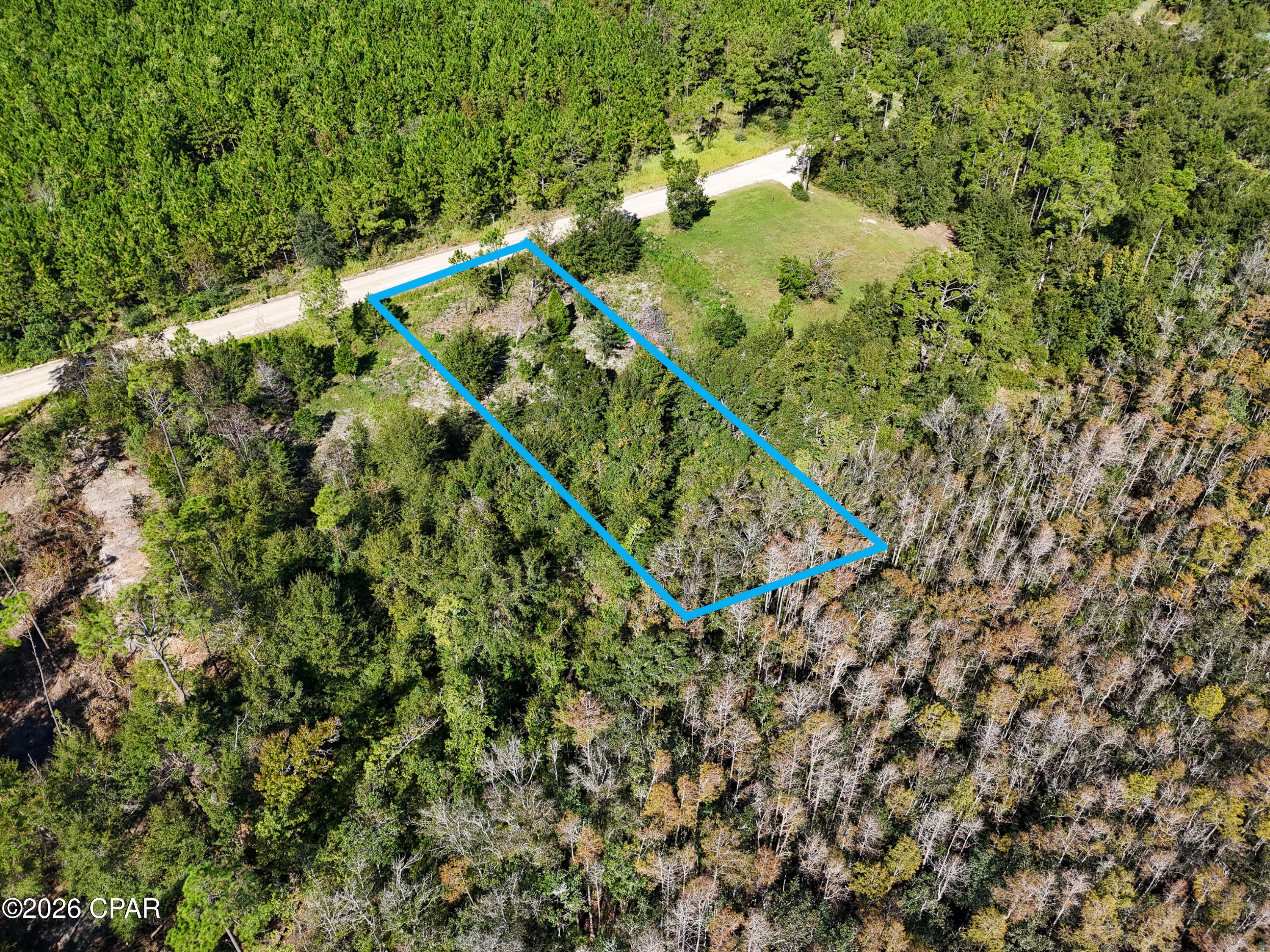 0 Dead Lake Dr, Wewahitchka, FL 32465 photo