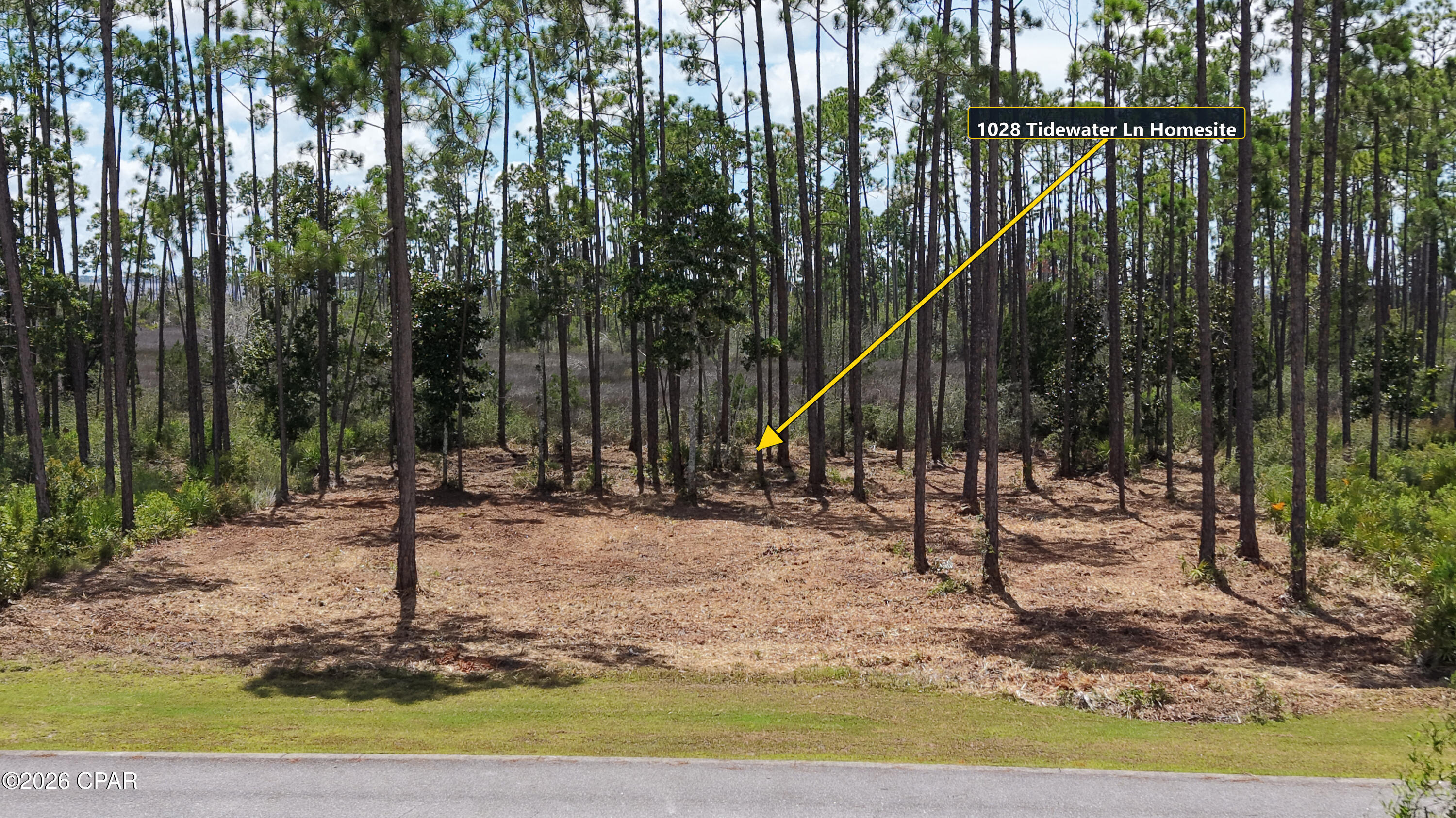 1028 Tidewater Ln, Panama City, FL 32404 photo
