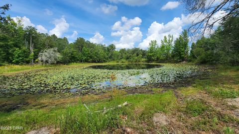  in Sneads FL 7617 Green Road.jpg