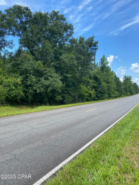 Farm in Sneads FL 0000 N Hwy 271 Highway #0 2.jpg
