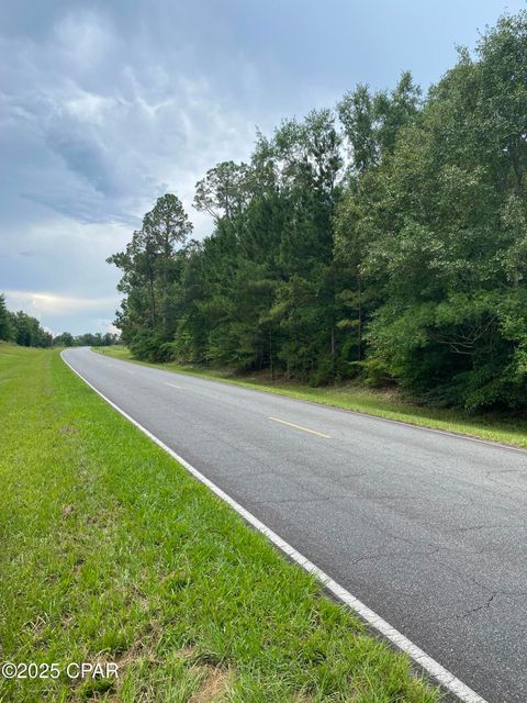 Farm in Sneads FL 0000 N Hwy 271 Highway #0 3.jpg
