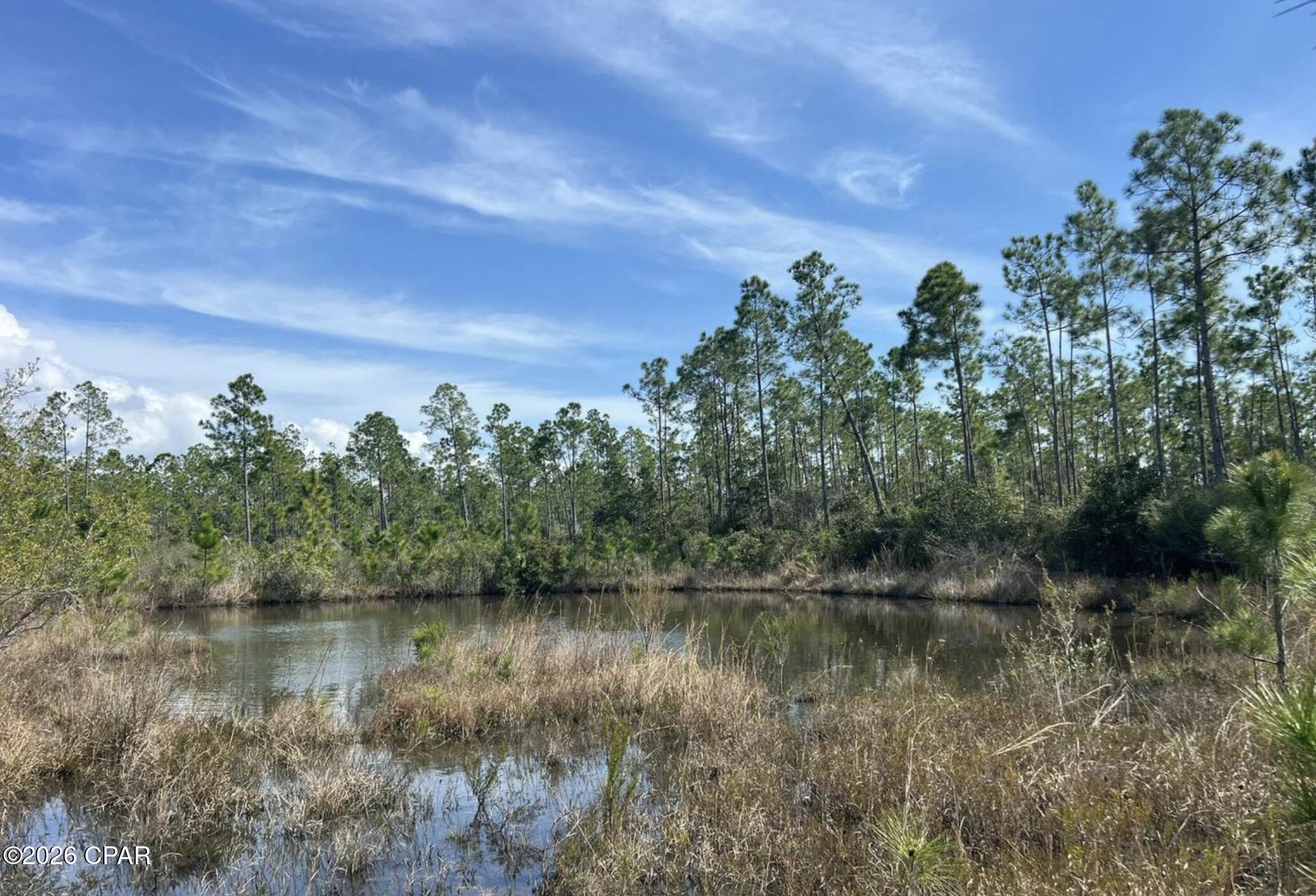 12816 Piercy Rd, Panama City, FL 32404 photo