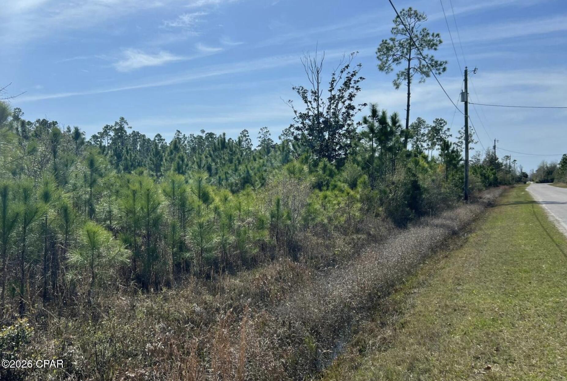 12816 Piercy Rd, Panama City, FL 32404 photo