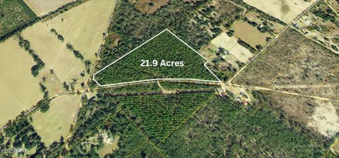 Farm in Greenwood FL 01 Oscar Road.jpg