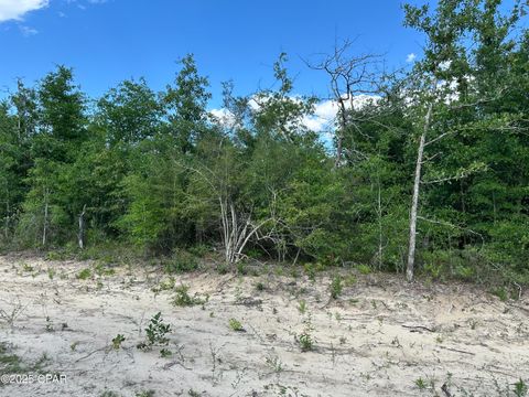 in Altha FL 0000 NW Lakeside Avenue.jpg