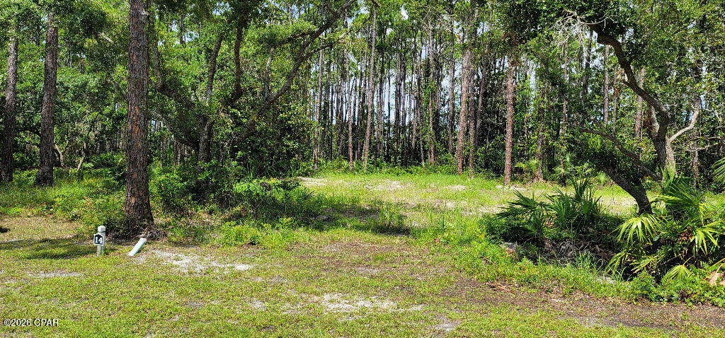 14 Waters Edge Dr, Port Saint Joe, FL 32456 photo