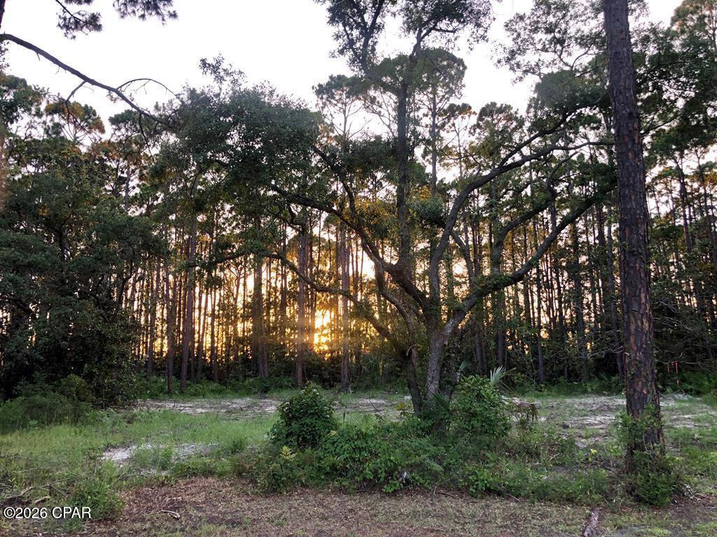 14 Waters Edge Dr, Port Saint Joe, FL 32456 photo