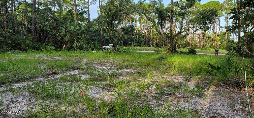 14 Waters Edge Dr, Port Saint Joe, FL 32456 photo