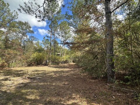  in Crestview FL 20 AC Lacey Lane.jpg