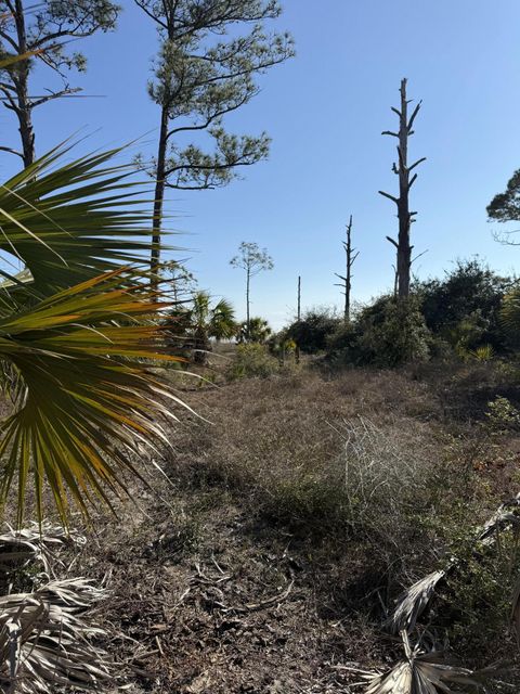  in Cape San Blas FL TBD CR 30A.jpg