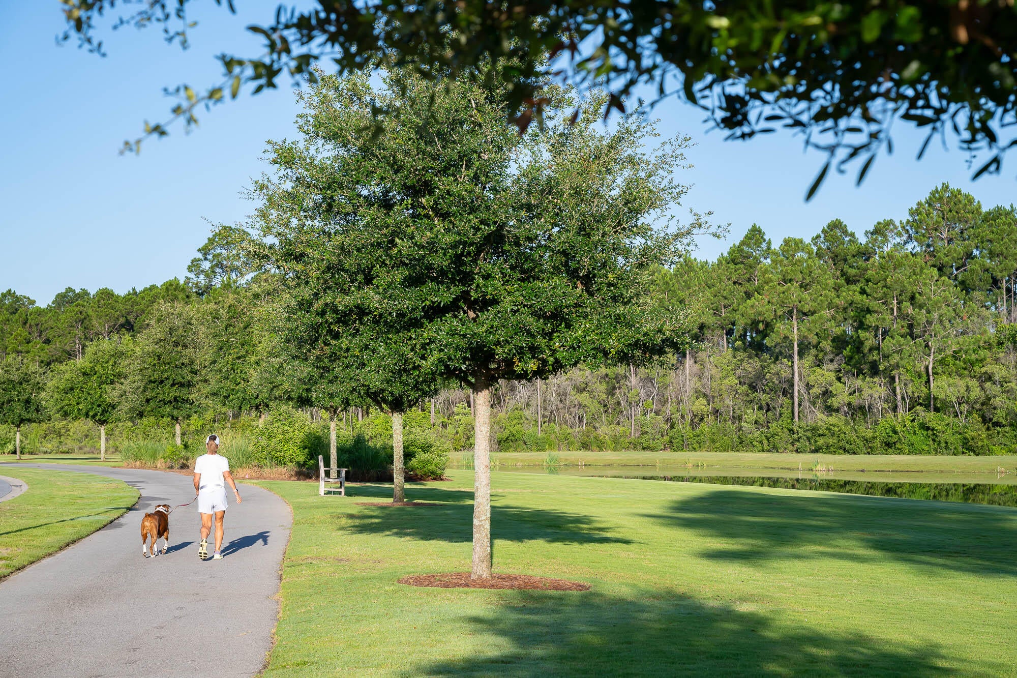 TBD Hutton Cove #Lot 8, Watersound, FL 32461 photo