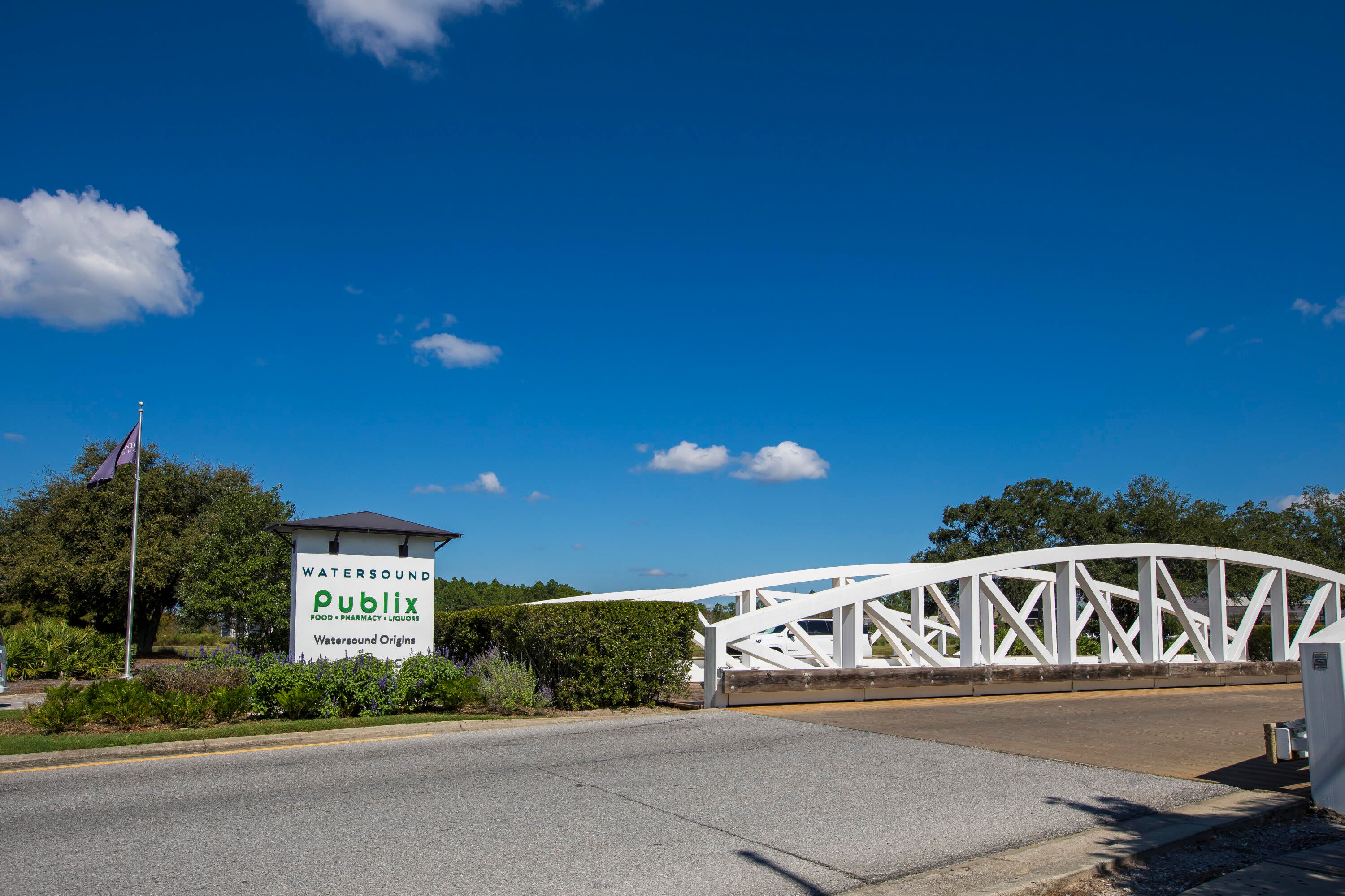 1224 Suwannee Dr #LOT 38, Watersound, FL 32461 photo