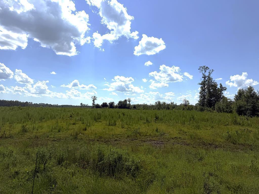2 Highway 71 S, Wewahitchka, FL 32465
